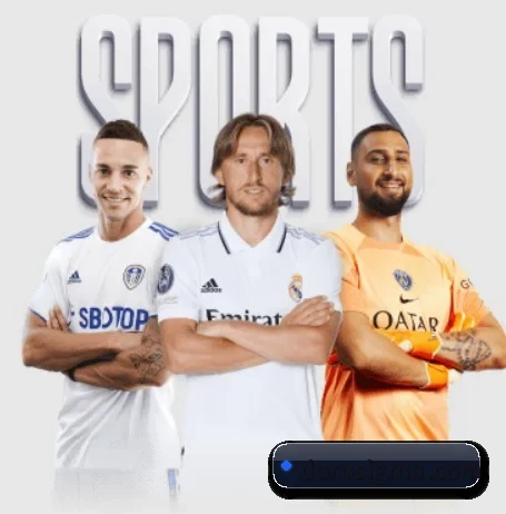 bsports体育网页版入口 APP